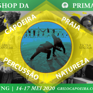 Primavera workshop Terschelling 2020 – Grilo Capoeira